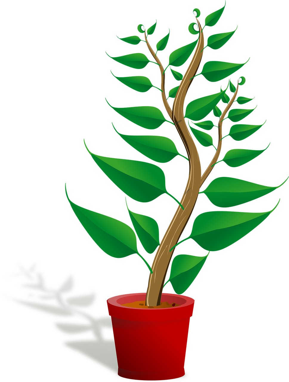 BIOTRESHOP